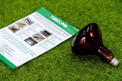 Лампа инфракрасная 250В