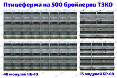 Птицеферма на 500 бройлеров.